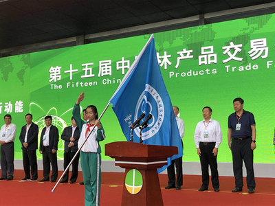 中国青少年宫协会