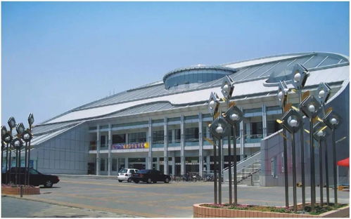 河南60栋最美建筑 青少年的梦想殿堂与文化地标